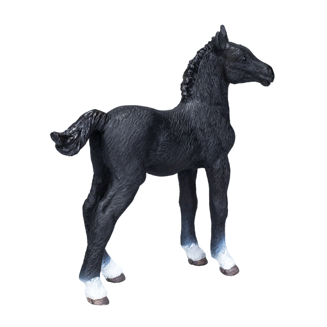 Mojo Hanoverian Foal Black  - M