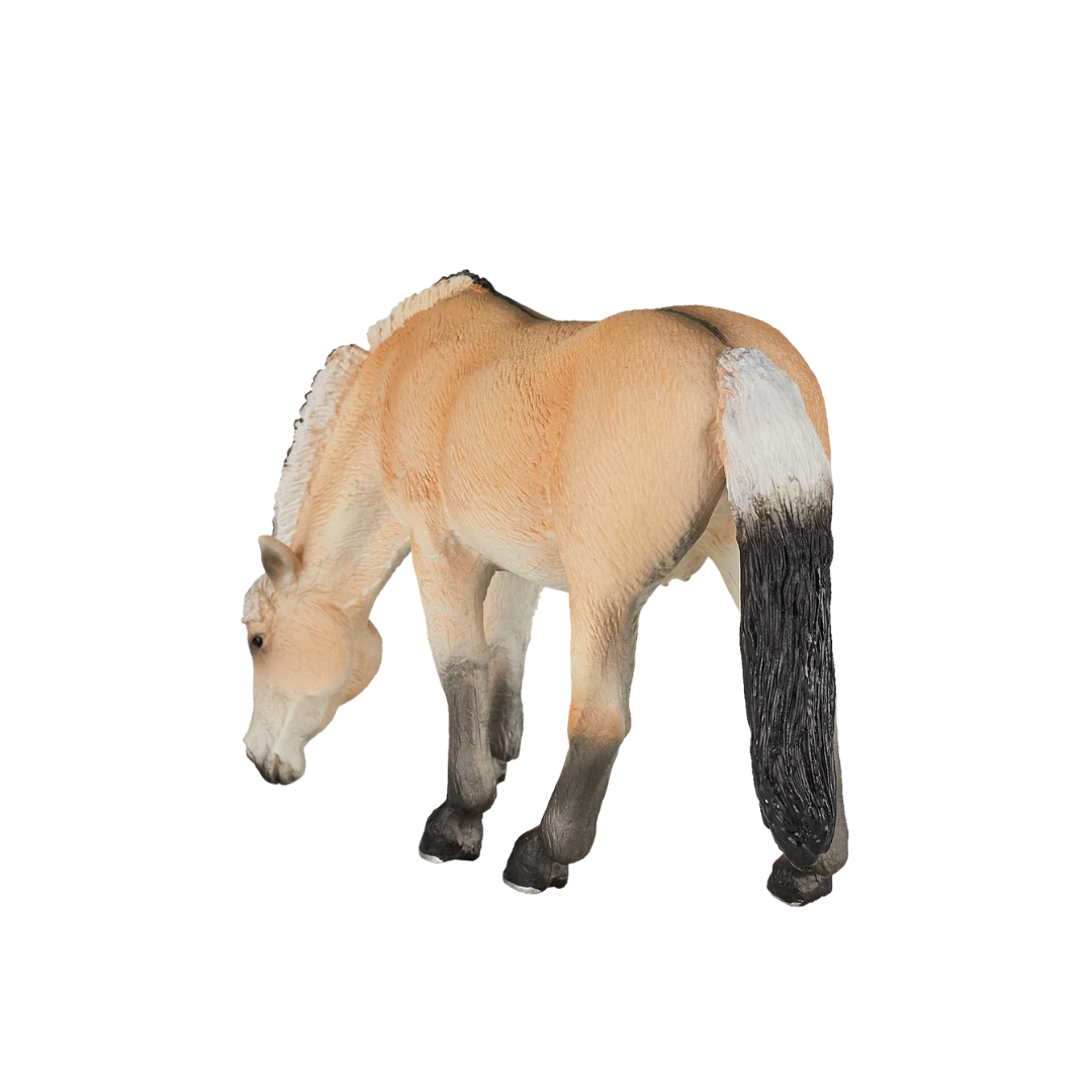 Mojo Fjord Mare - XL