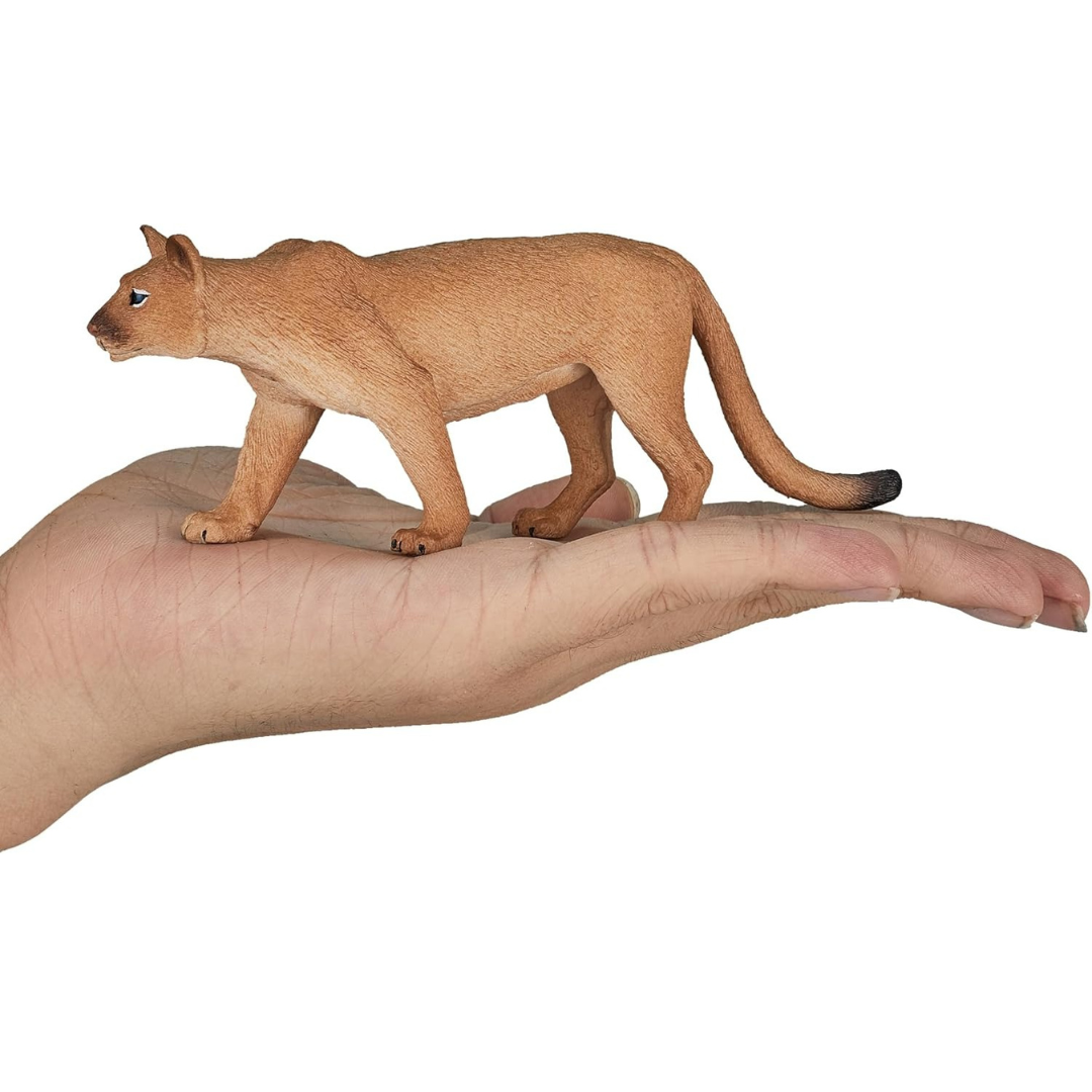 Mojo Mountain Lion - L