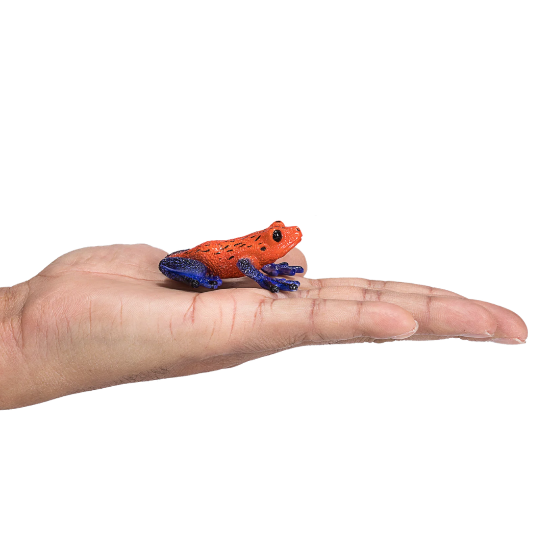 Mojo Poison Dart Tree Frog - M