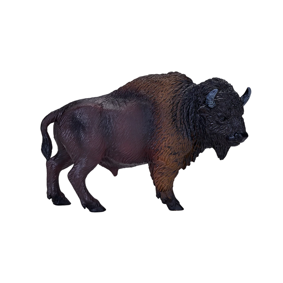 Mojo American Bison / Buffalo - L