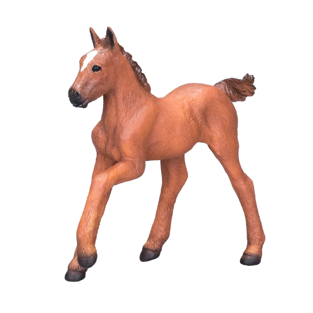 Mojo Arabian Foal Chestnut - M