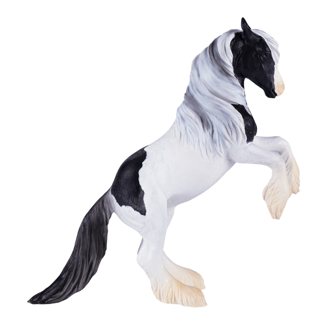 Mojo Irish Cob Stallion - XL