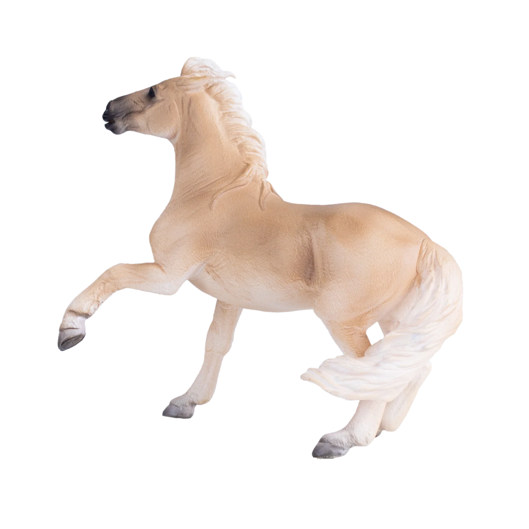 Mojo Brumby Mare  - XL
