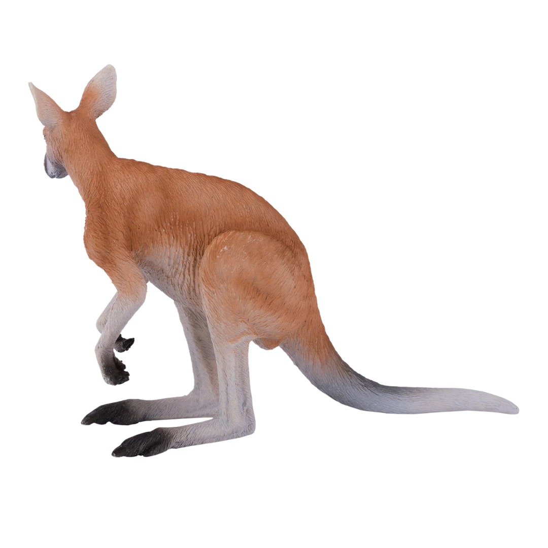 Mojo Kangaroo- L
