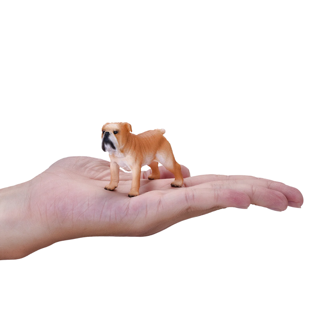 Mojo English Bulldog  - M