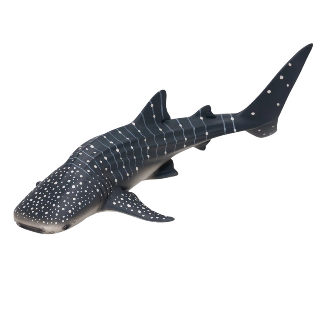 Mojo Whale Shark -DI
