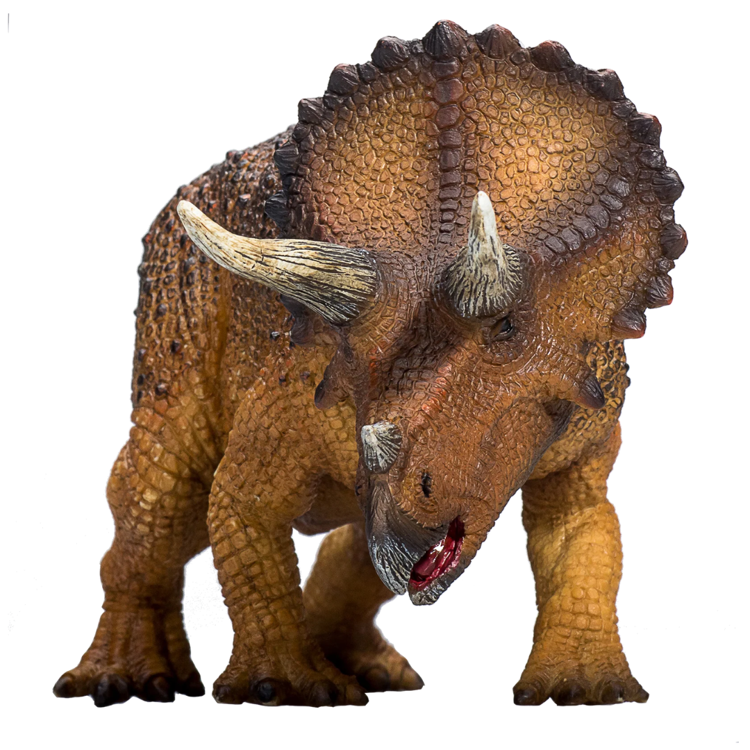 Triceratops -XXL