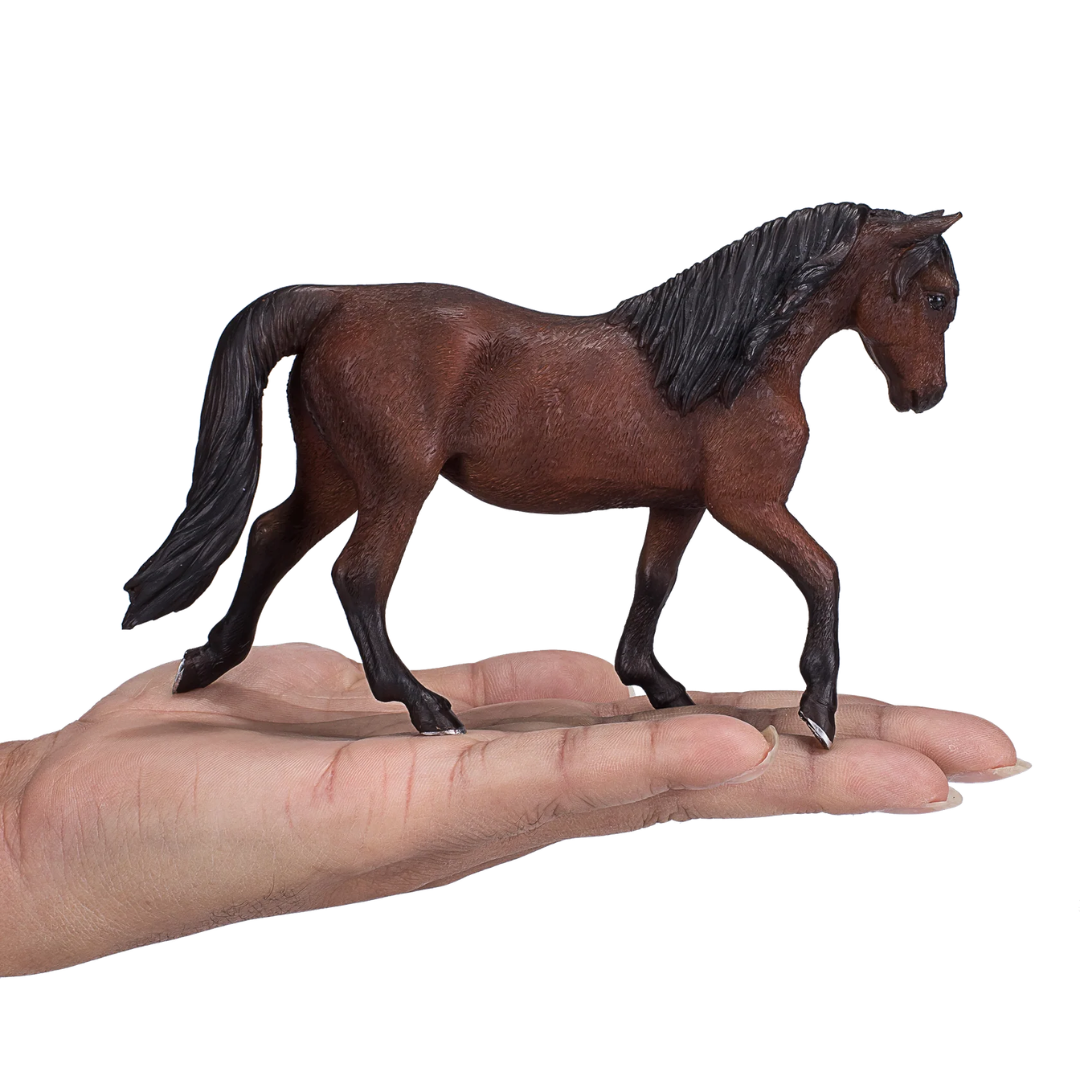 Mojo Morgan Stallion Bay - XL