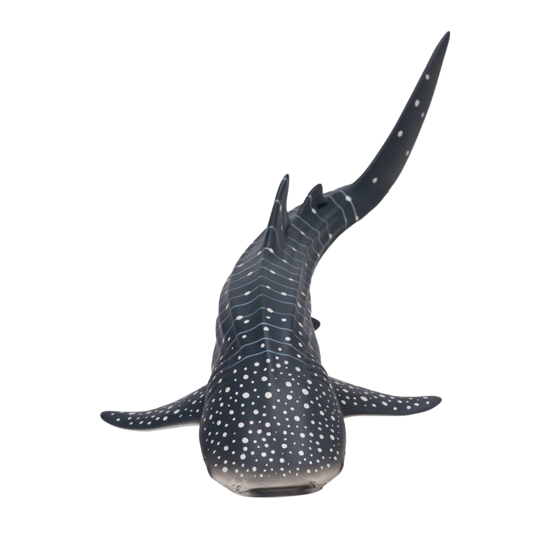 Mojo Whale Shark -DI