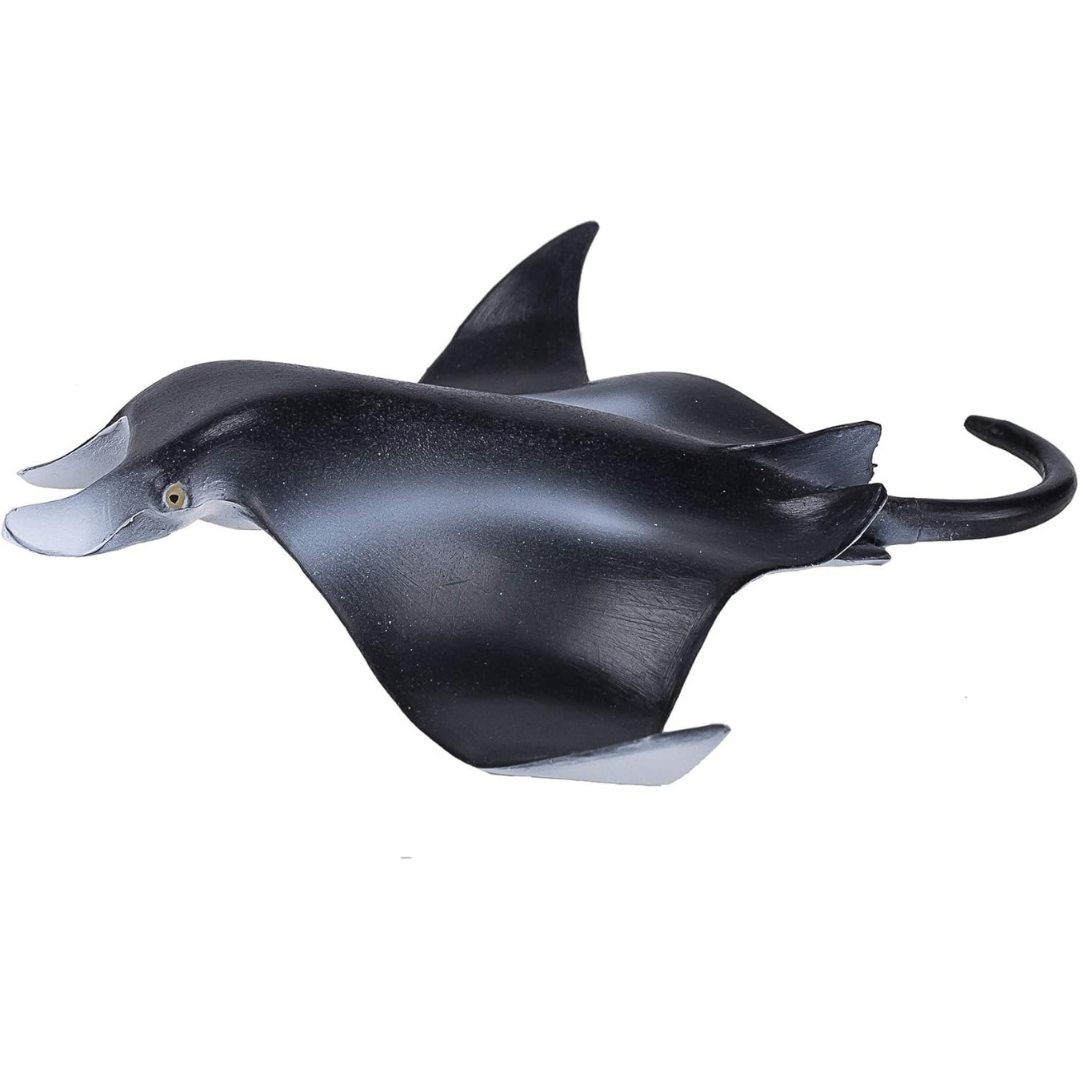 Mojo Manta Ray  (Portugal) - L