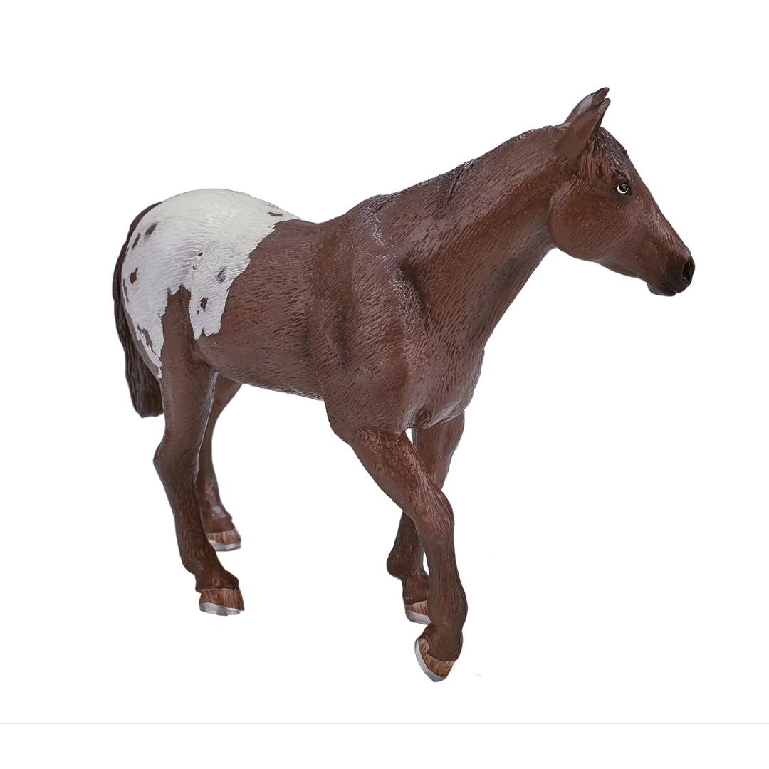 Mojo Appaloosa Stallion Chestnut- XL