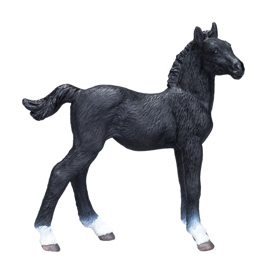 Mojo Hanoverian Foal Black  - M