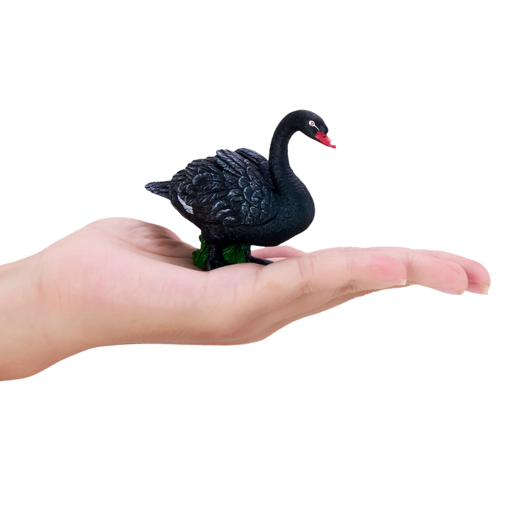 Mojo Black Swan