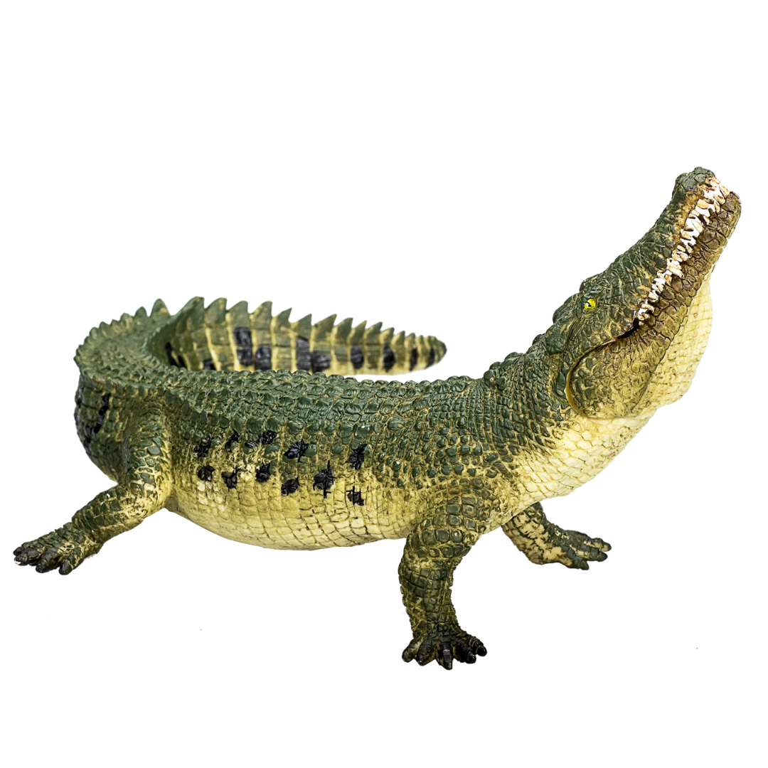 Mojo Crocodile with Articulated Jaw - XL
