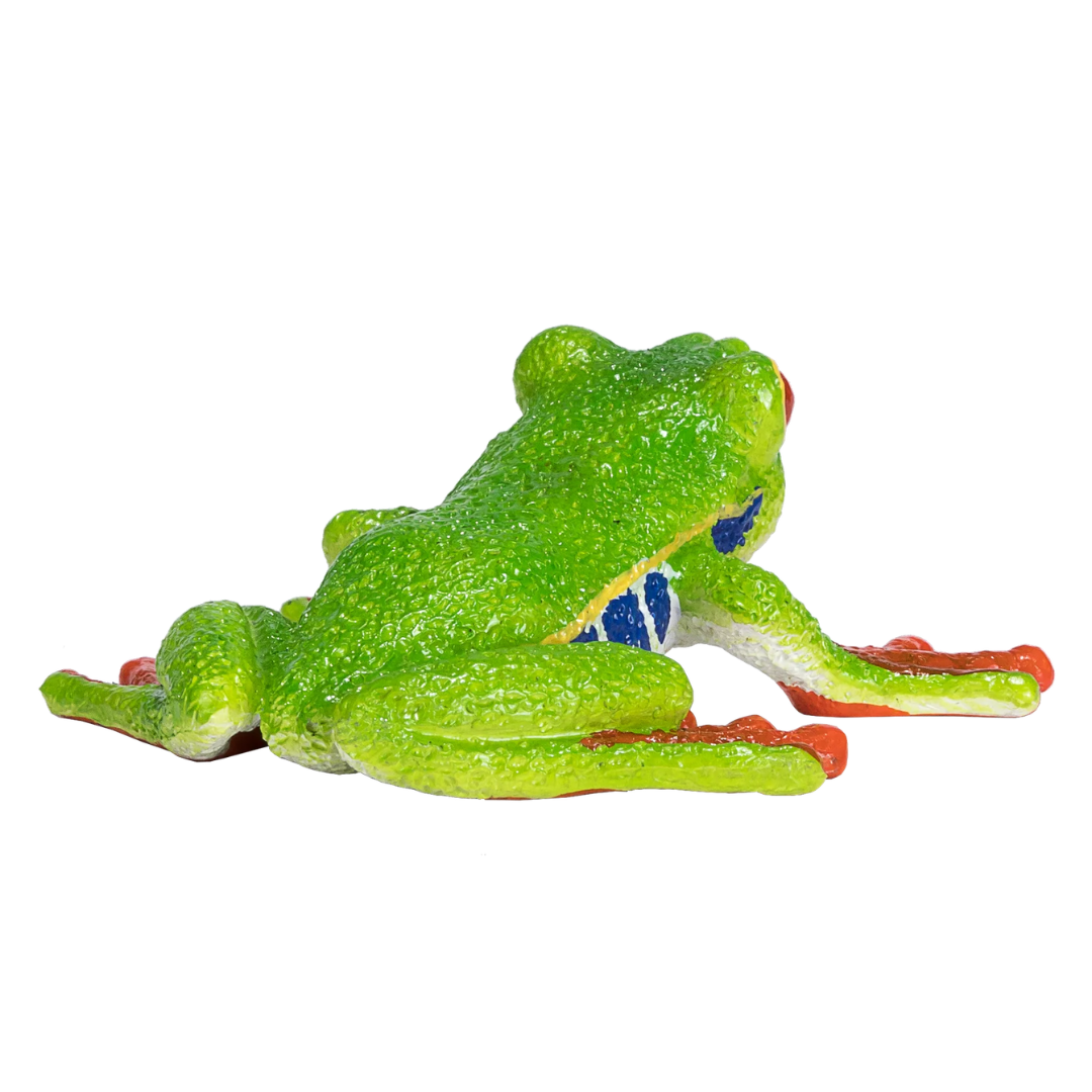 Mojo Red Eyed Tree Frog - M