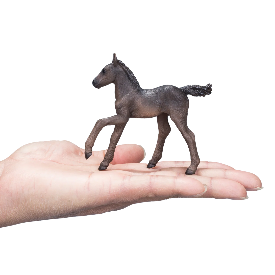 Arabian Foal Black  - M