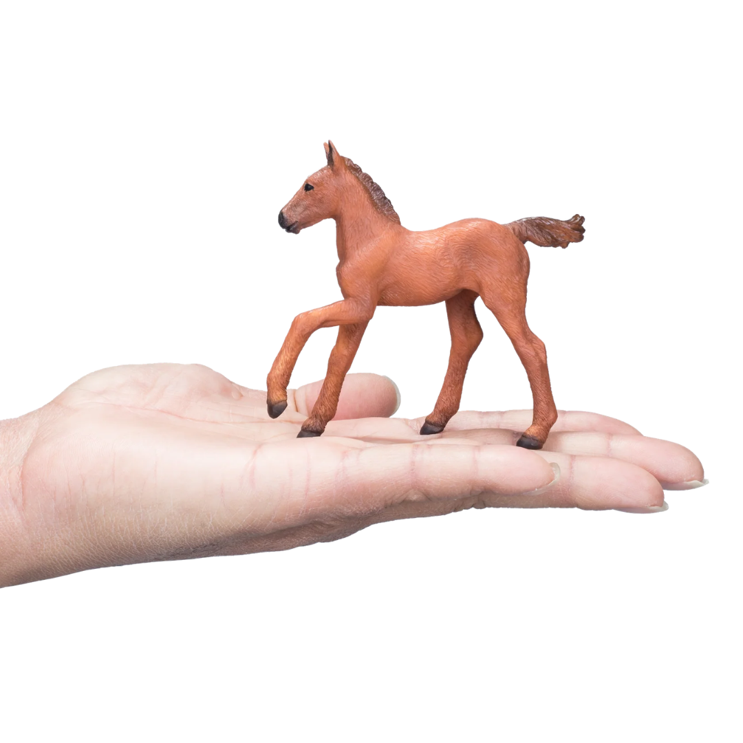 Mojo Arabian Foal Chestnut - M