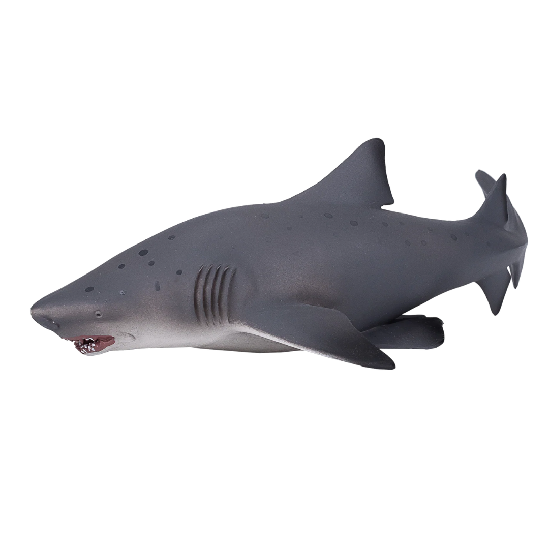 Sand Tiger Shark Large  (Portugal) -XXL