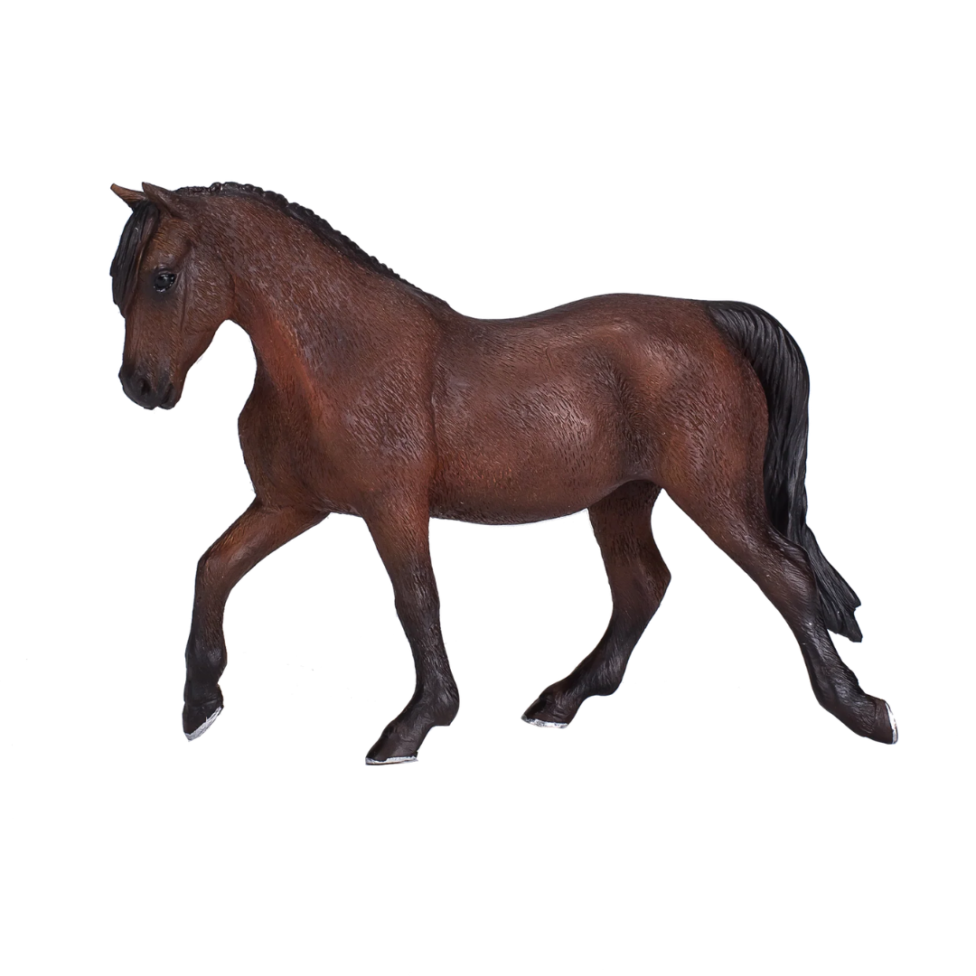 Mojo Morgan Stallion Bay - XL
