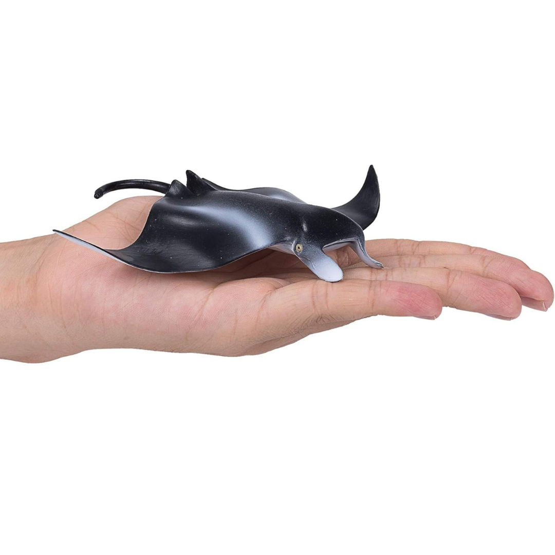 Mojo Manta Ray  (Portugal) - L