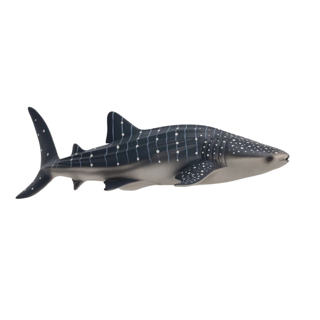 Mojo Whale Shark -DI