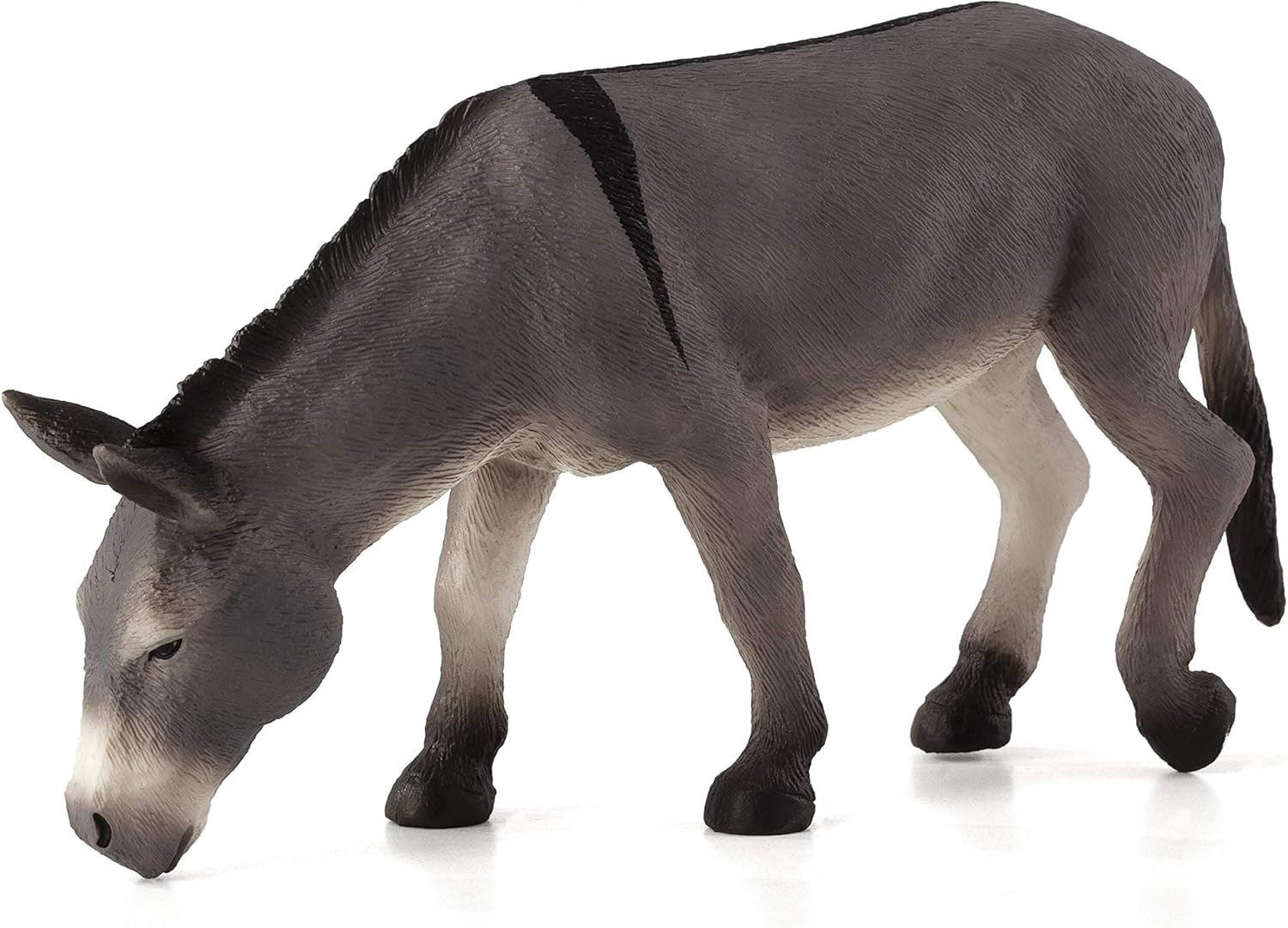 Mojo Donkey Feeding -L