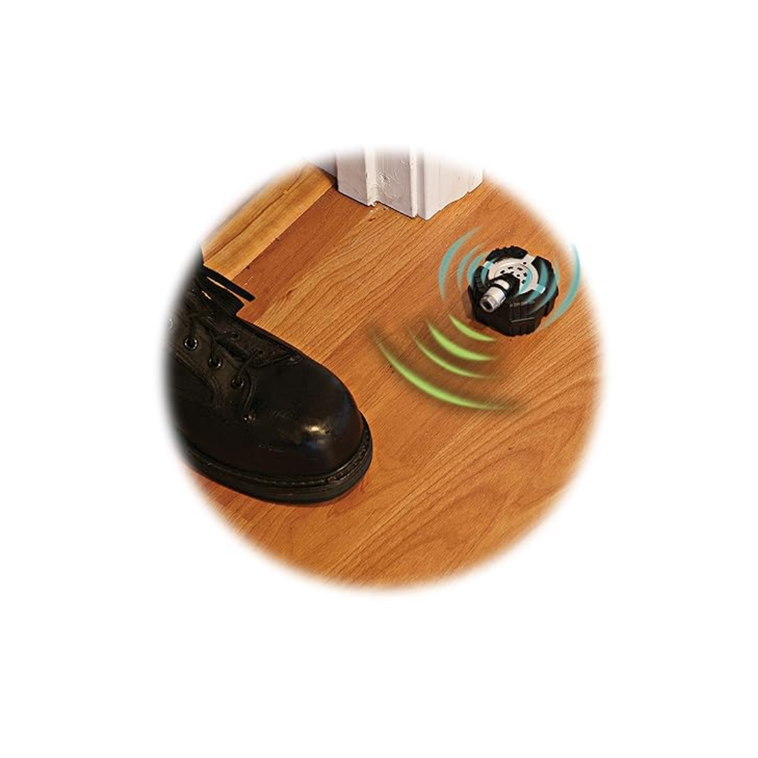 SPY X - Motion Alarm