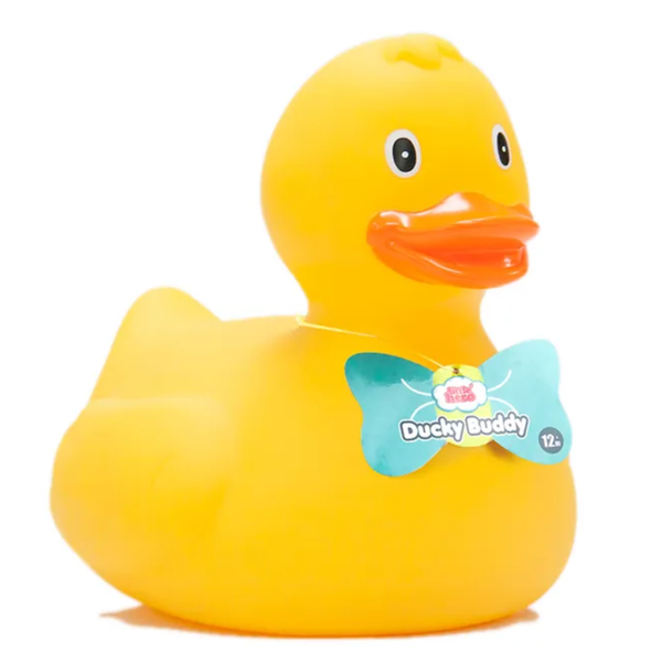 Little Hero Happy Duck Family