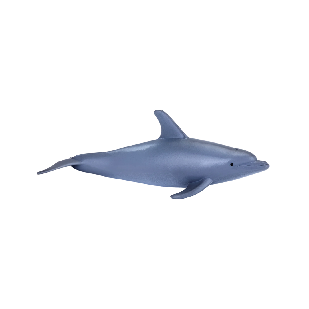 Mojo Bottlenose Dolphin - M