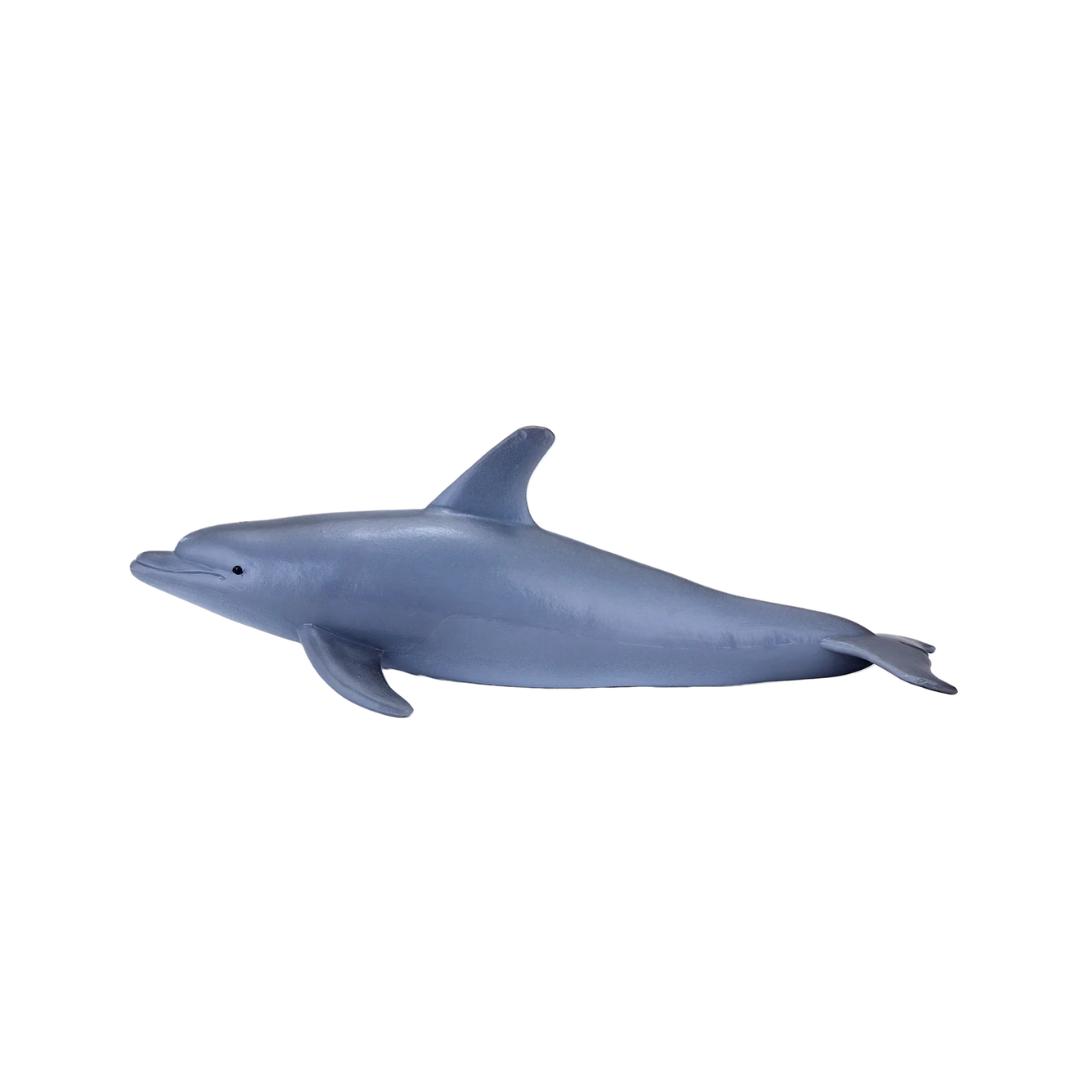Mojo Bottlenose Dolphin - M