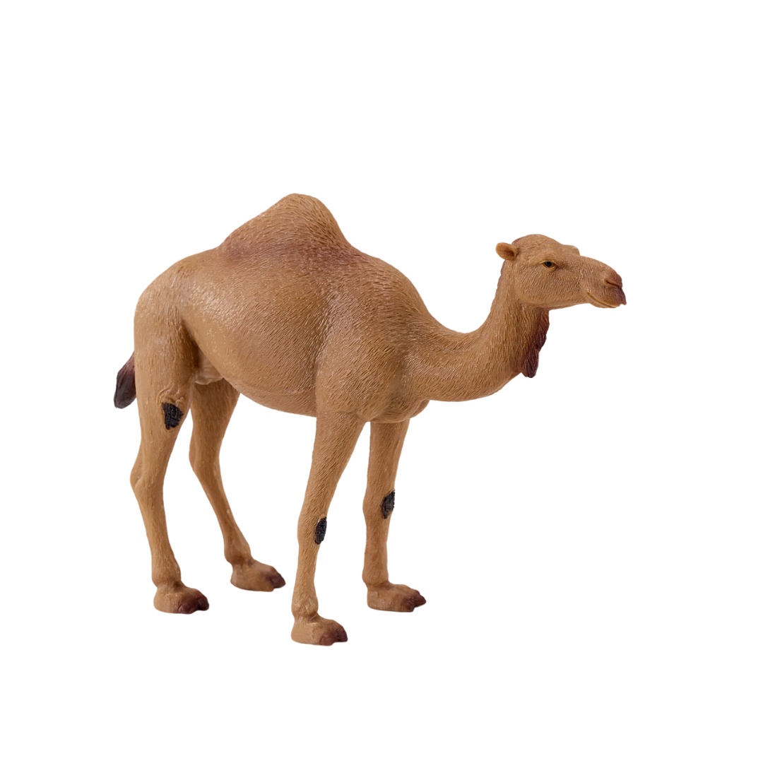 Mojo Arabian Camel  - XL