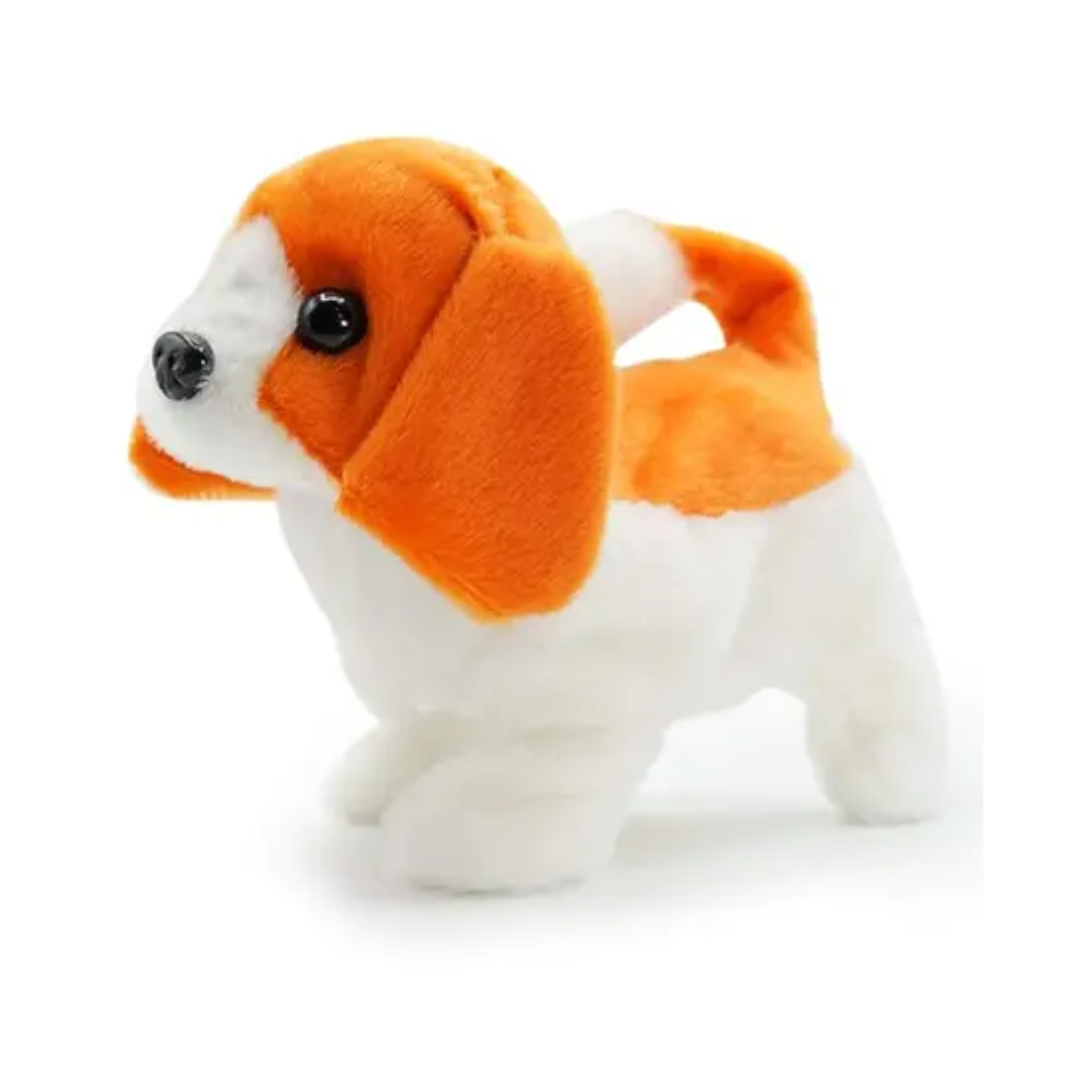 Buddy Walking Dog