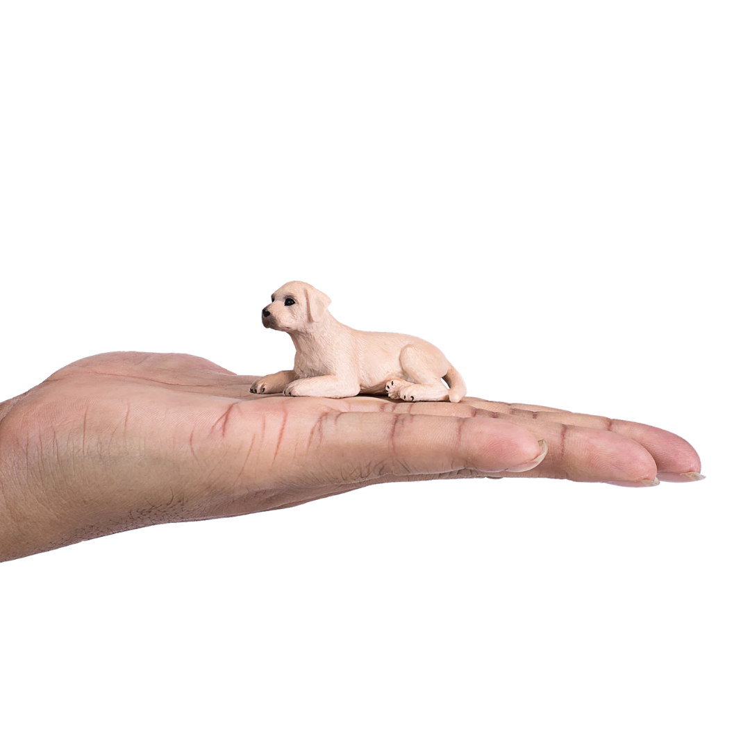 Mojo Labrador Puppy-S