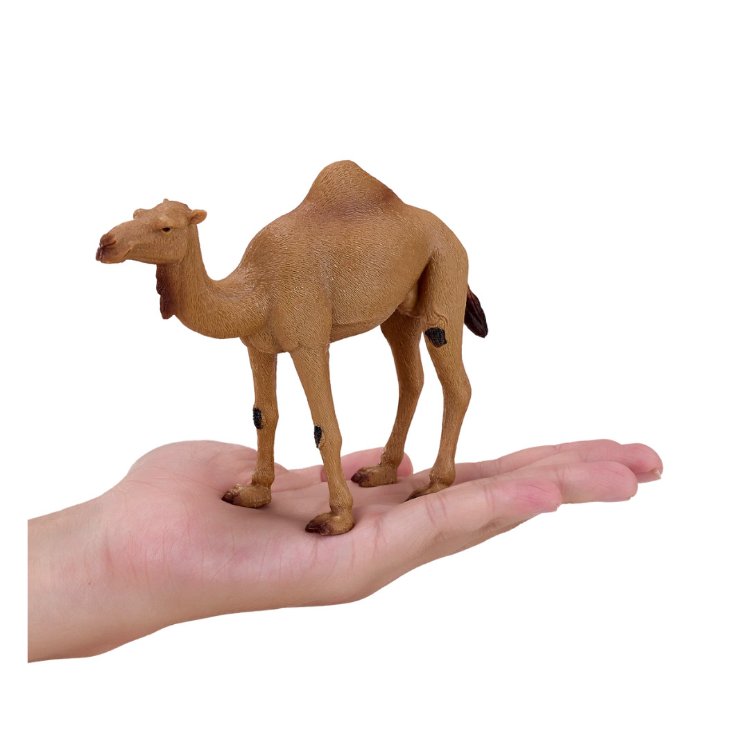 Mojo Arabian Camel  - XL