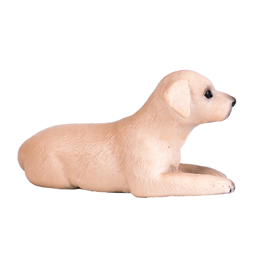 Mojo Labrador Puppy-S