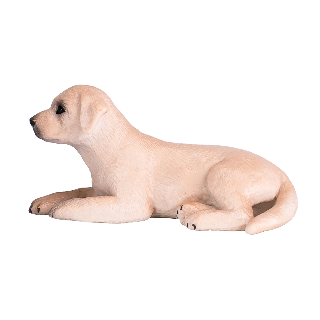 Mojo Labrador Puppy-S