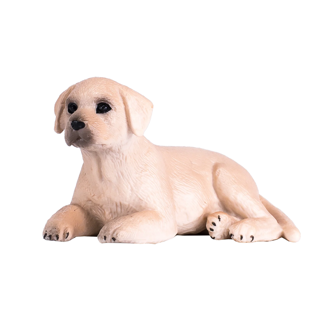 Mojo Labrador Puppy-S