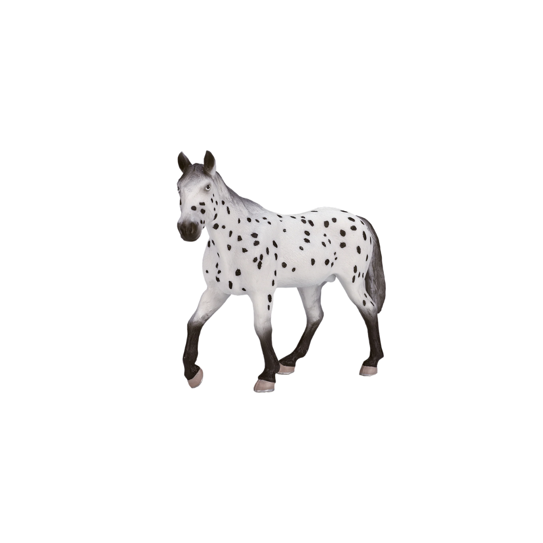 Mojo Appaloosa Stallion - XL