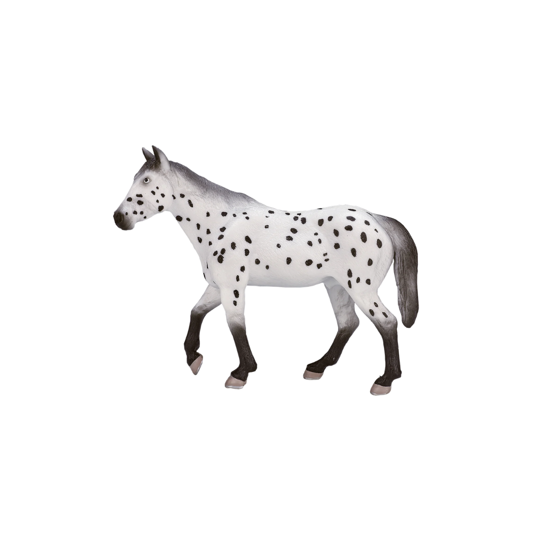 Mojo Appaloosa Stallion - XL