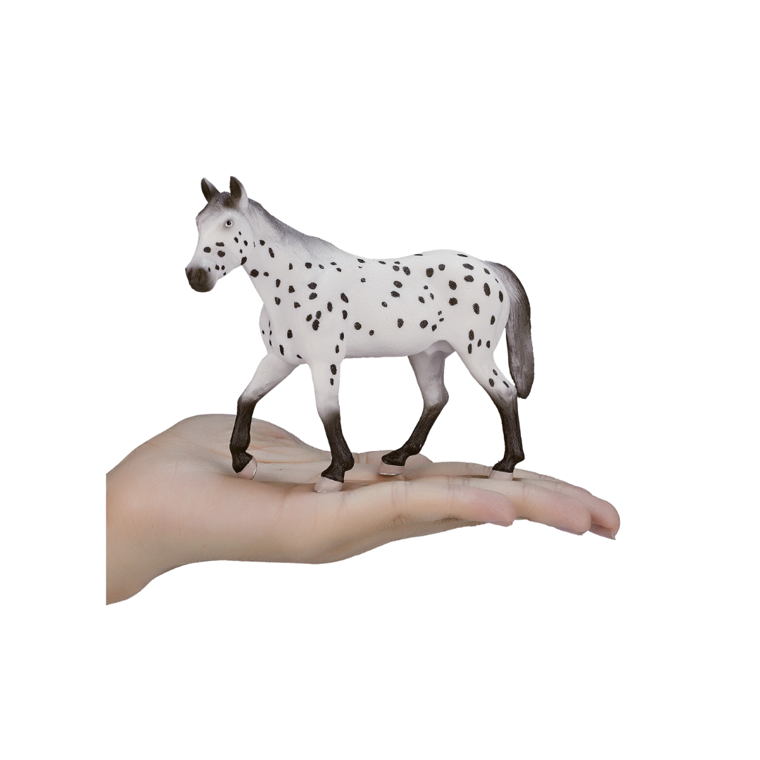 Mojo Appaloosa Stallion - XL