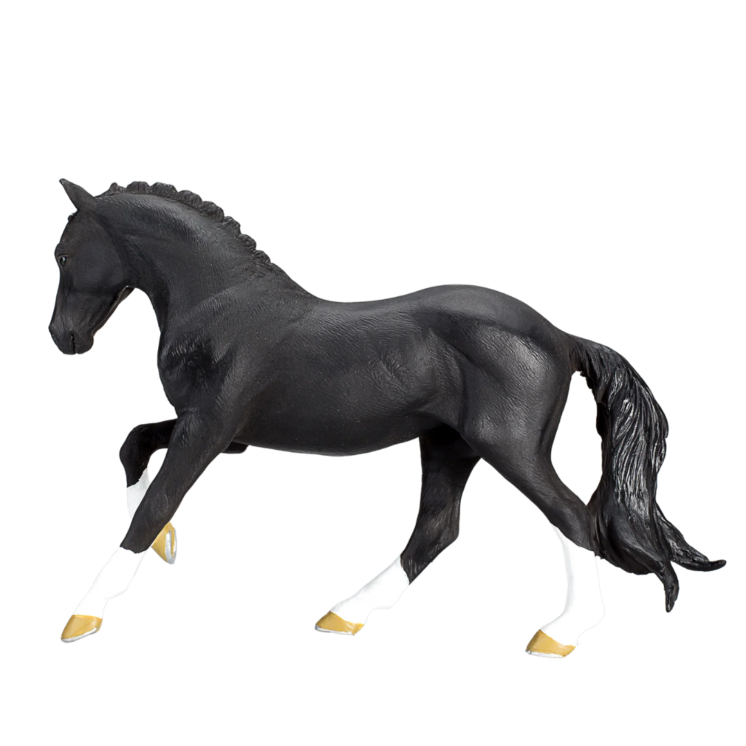 Mojo Hanoverian Black  (Portugal)- XL