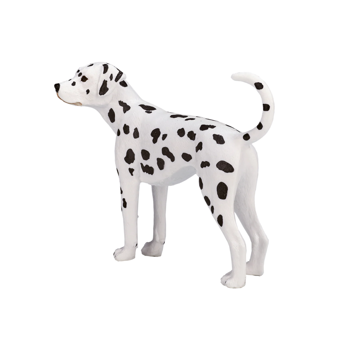 Mojo Dalmatian  - M