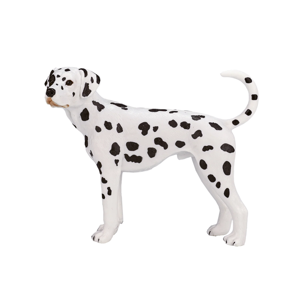 Mojo Dalmatian  - M
