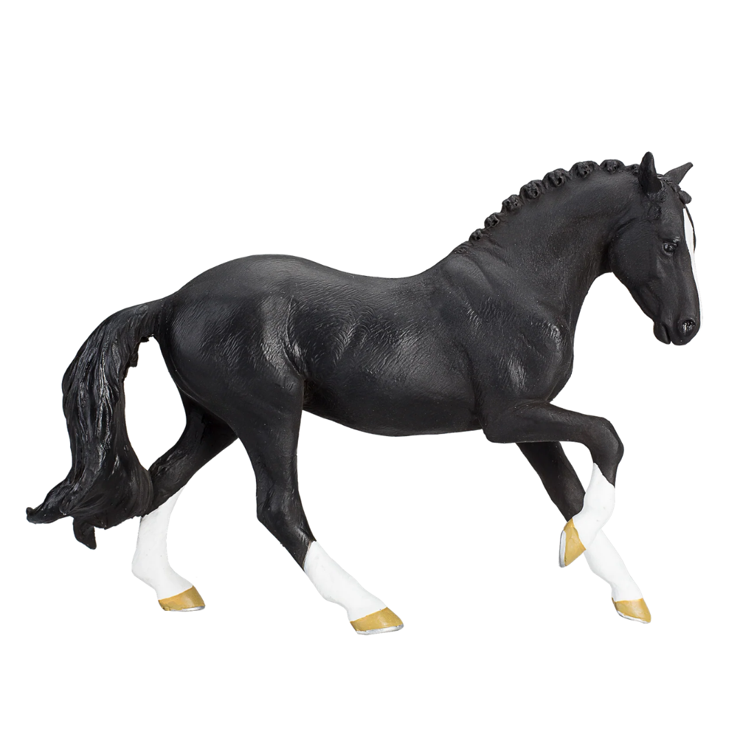 Mojo Hanoverian Black  (Portugal)- XL