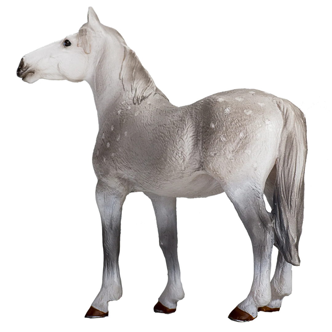 Mojo Orlov Trotter - XL