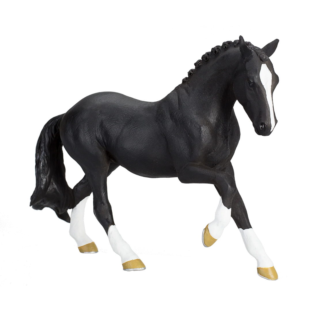 Mojo Hanoverian Black  (Portugal)- XL