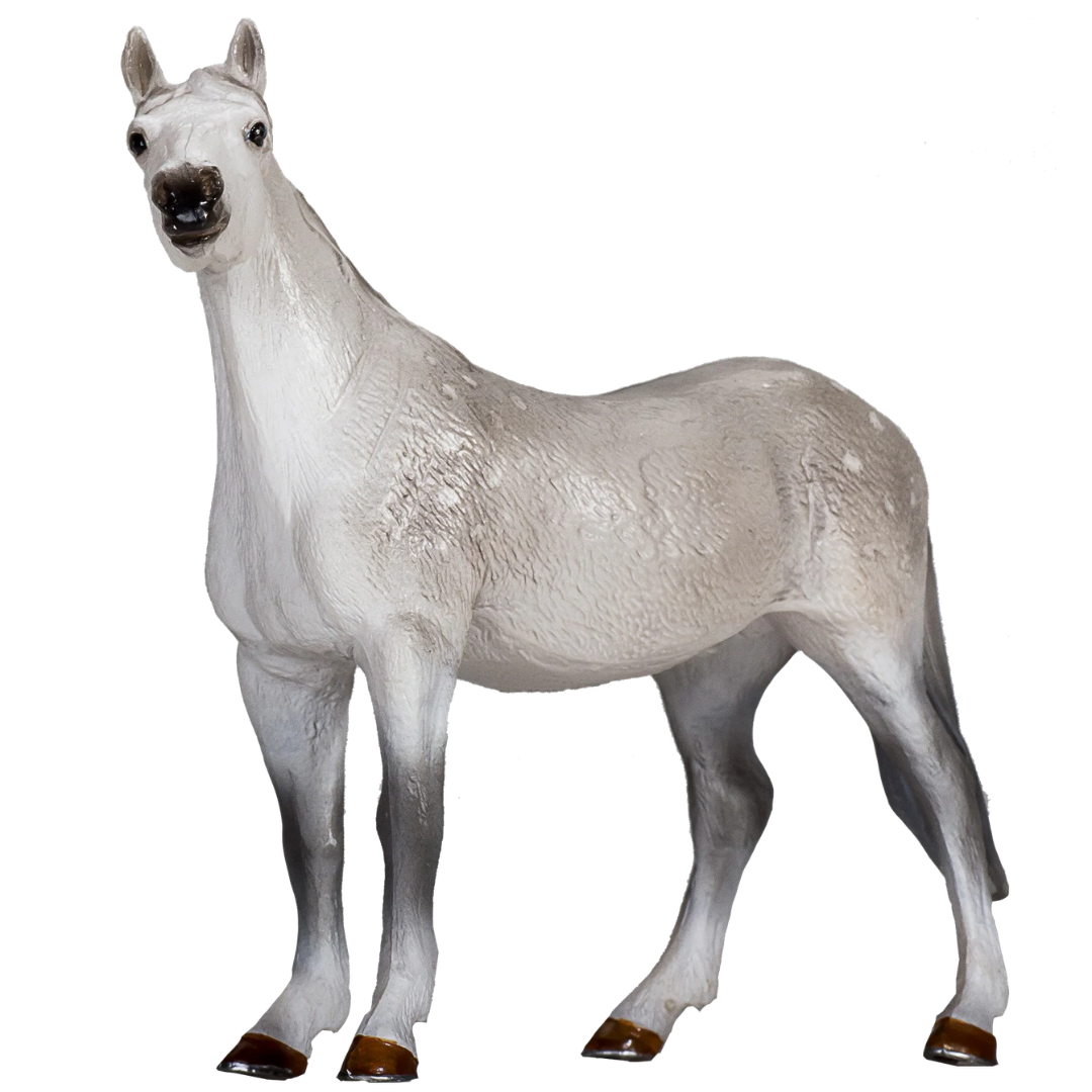 Mojo Orlov Trotter - XL