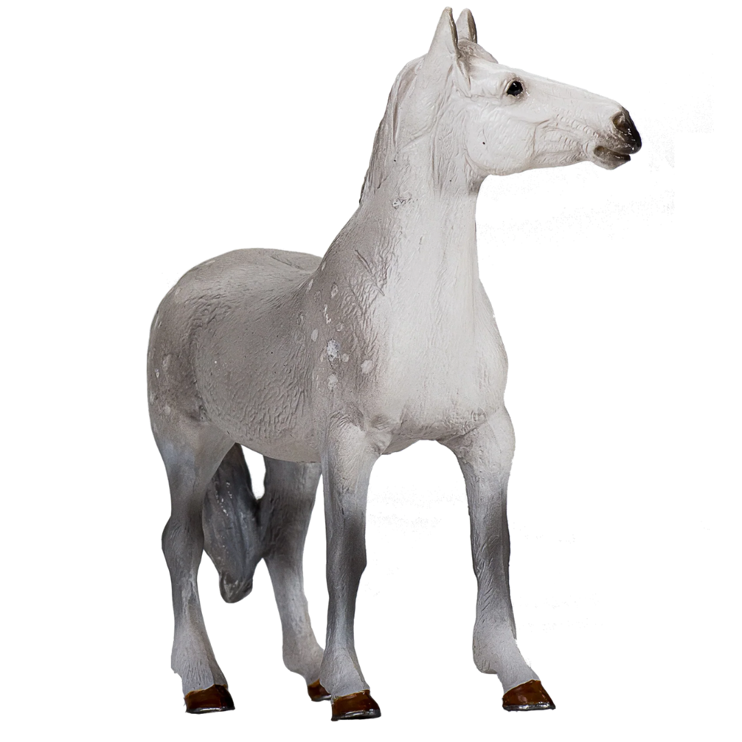 Mojo Orlov Trotter - XL
