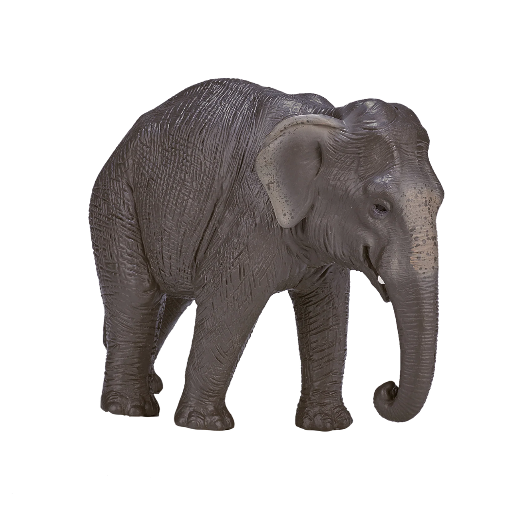 Mojo Asian Elephant - XL